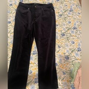 GAP Women's Navy velvety pants